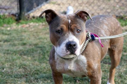 ROXY located in Philadelphia, PA was saved