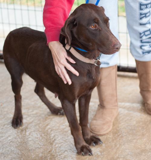 WANEETA located in New Martinsville, WV was saved