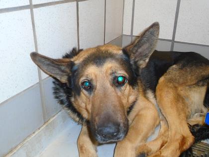 34939661 located in El Paso, TX has an unknown status at this time